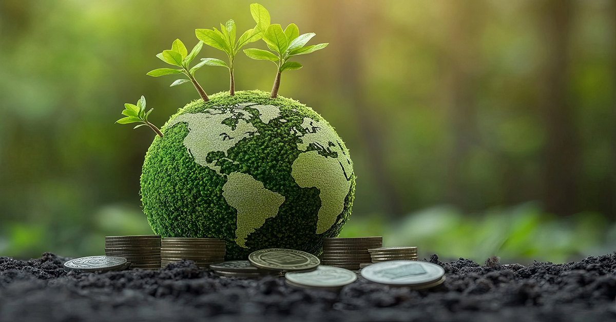 a plant growing out of coins